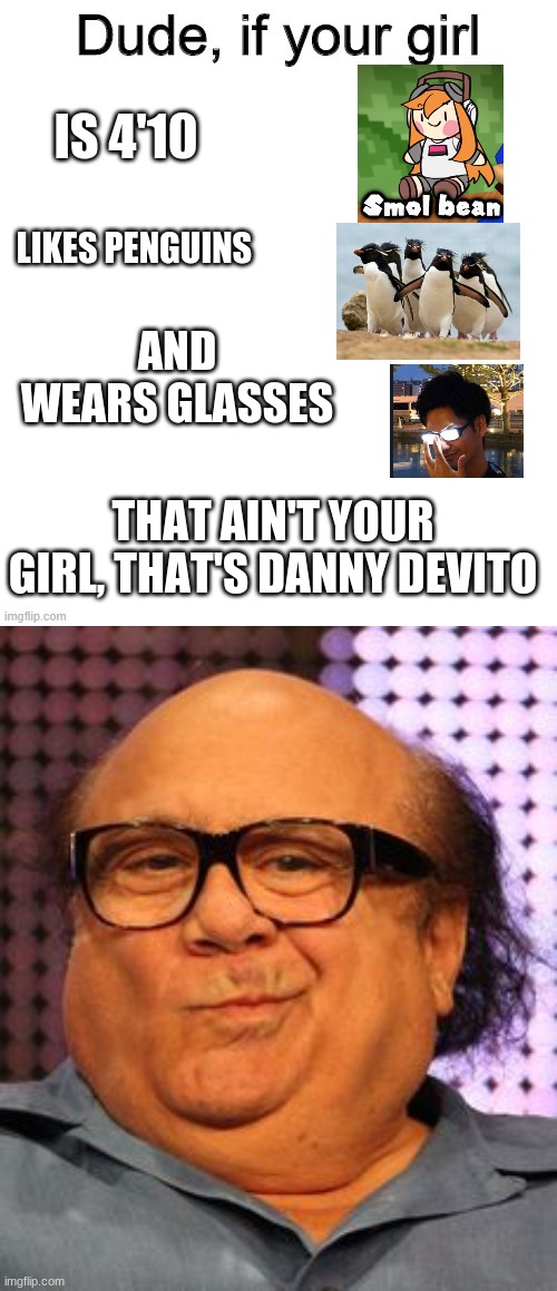 IS 4'10; LIKES PENGUINS; AND WEARS GLASSES; THAT AIN'T YOUR GIRL, THAT'S DANNY DEVITO | image tagged in dude if your girl,bernie danny devito | made w/ Imgflip meme maker