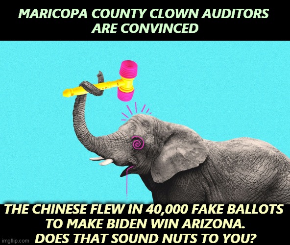 They're checking the ballot paper for bamboo content. | MARICOPA COUNTY CLOWN AUDITORS 
ARE CONVINCED; THE CHINESE FLEW IN 40,000 FAKE BALLOTS 
TO MAKE BIDEN WIN ARIZONA.
DOES THAT SOUND NUTS TO YOU? | image tagged in arizona,vote,fraud,nonsense,insanity,pathetic | made w/ Imgflip meme maker