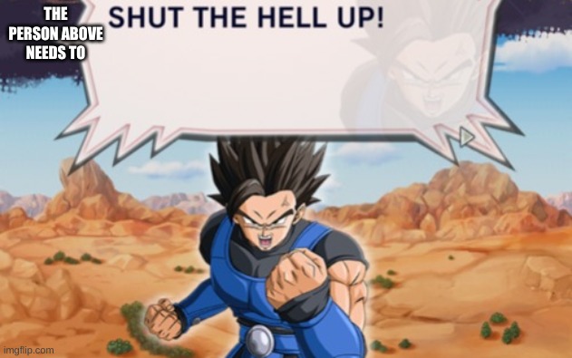 SHUT THE HELL UP | THE PERSON ABOVE NEEDS TO | image tagged in shut the hell up | made w/ Imgflip meme maker