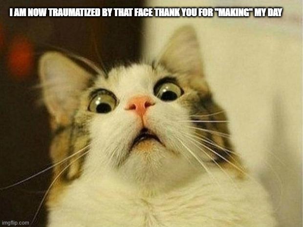 Scared Cat Meme | I AM NOW TRAUMATIZED BY THAT FACE THANK YOU FOR "MAKING" MY DAY | image tagged in memes,scared cat | made w/ Imgflip meme maker