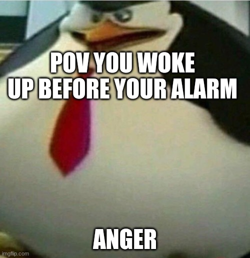 Thicc Skipper | POV YOU WOKE UP BEFORE YOUR ALARM; ANGER | image tagged in thicc skipper | made w/ Imgflip meme maker