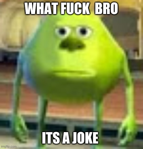 Sully Wazowski | WHAT FUCK  BRO ITS A JOKE | image tagged in sully wazowski | made w/ Imgflip meme maker