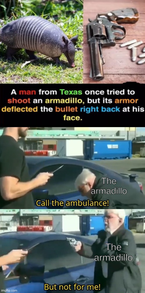 Call an ambulance but not for me | The armadillo; The armadillo | image tagged in call an ambulance but not for me | made w/ Imgflip meme maker