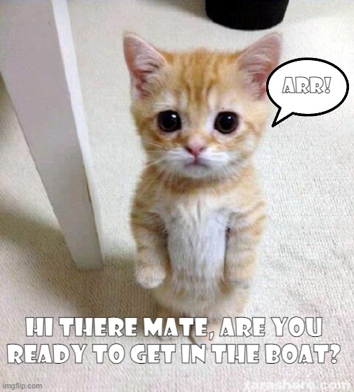Cute Cat Meme | Hi there mate, are you ready to get in the boat? Arr! | image tagged in memes,cute cat | made w/ Imgflip meme maker