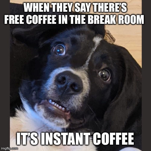 Free coffee but not free happiness | WHEN THEY SAY THERE’S FREE COFFEE IN THE BREAK ROOM; IT’S INSTANT COFFEE | image tagged in dog,coffee,code | made w/ Imgflip meme maker