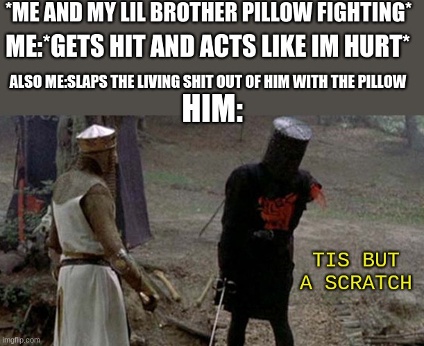 big fax | *ME AND MY LIL BROTHER PILLOW FIGHTING*; ME:*GETS HIT AND ACTS LIKE IM HURT*; ALSO ME:SLAPS THE LIVING SHIT OUT OF HIM WITH THE PILLOW; HIM:; TIS BUT A SCRATCH | image tagged in tis but a scratch | made w/ Imgflip meme maker