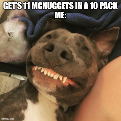 hehe | GET'S 11 MCNUGGETS IN A 10 PACK
ME: | image tagged in hehe,funny,memes,dogs,funny dogs,weird faces | made w/ Imgflip meme maker