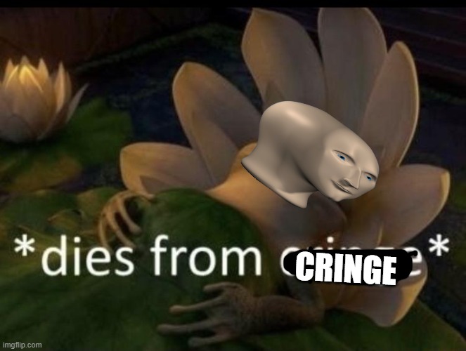 Dies from cringe | CRINGE | image tagged in dies from cringe | made w/ Imgflip meme maker