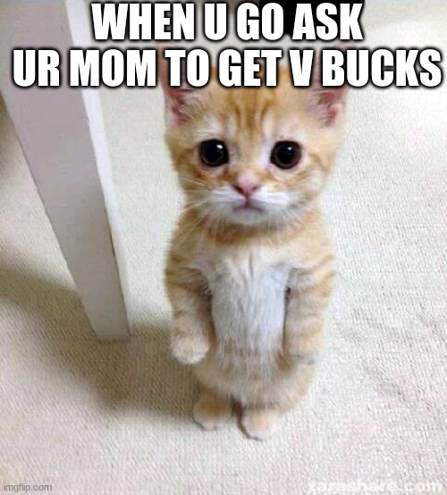 Cute Cat Meme | WHEN U GO ASK UR MOM TO GET V BUCKS | image tagged in memes,cute cat | made w/ Imgflip meme maker