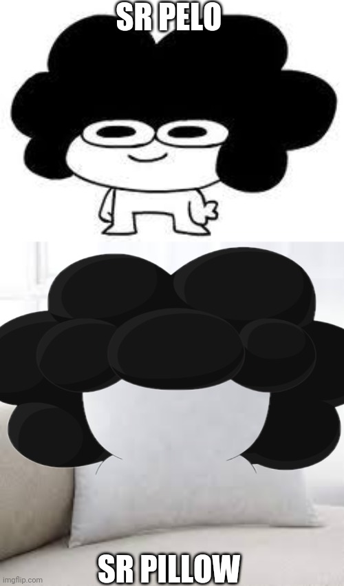 Sr pelo meme | SR PELO; SR PILLOW | image tagged in sr pillow | made w/ Imgflip meme maker