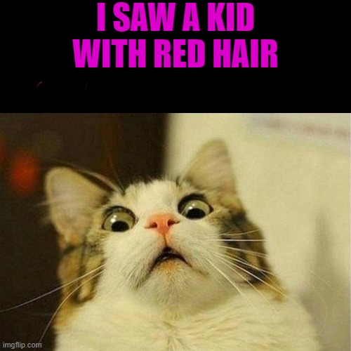 Red-heads have it the worst | I SAW A KID WITH RED HAIR | image tagged in red head,scary,help them | made w/ Imgflip meme maker