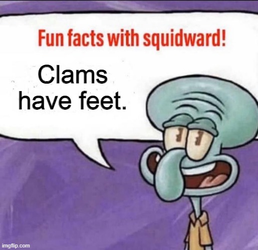 Fun Facts with Squidward | Clams have feet. | image tagged in fun facts with squidward | made w/ Imgflip meme maker