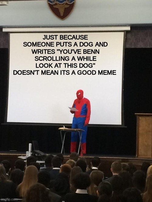 the first few was ok then it became bad | JUST BECAUSE SOMEONE PUTS A DOG AND WRITES "YOU'VE BENN SCROLLING A WHILE LOOK AT THIS DOG" DOESN'T MEAN ITS A GOOD MEME | image tagged in spiderman presentation,dog | made w/ Imgflip meme maker
