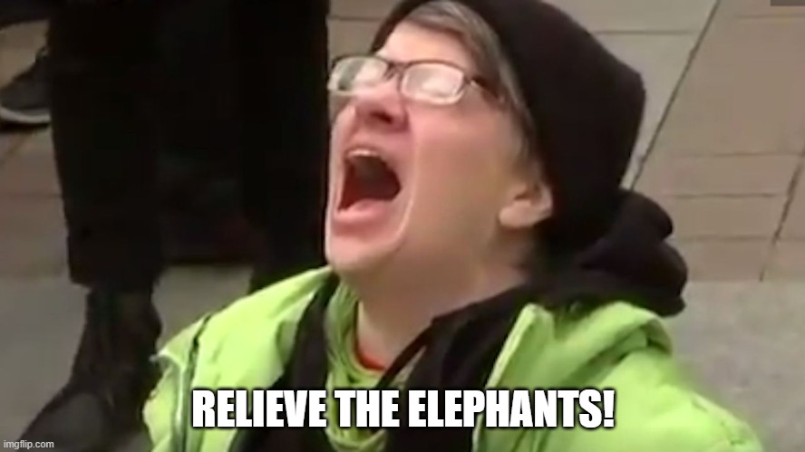 Relieve The Elephants | RELIEVE THE ELEPHANTS! | image tagged in screaming liberal | made w/ Imgflip meme maker