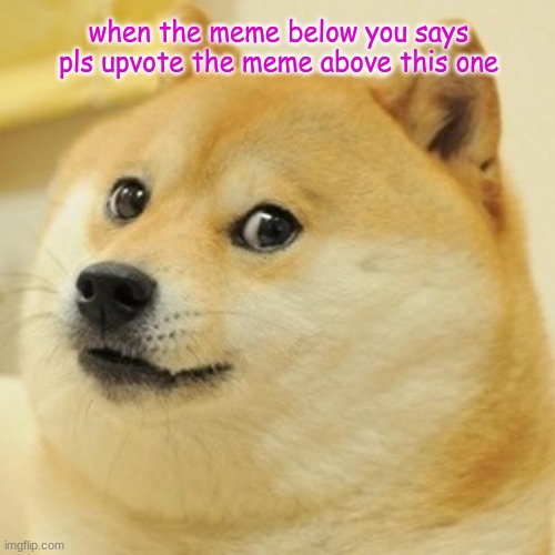 upvote begging doge | when the meme below you says pls upvote the meme above this one | image tagged in memes,doge | made w/ Imgflip meme maker