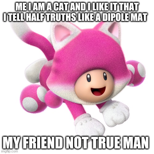 cats | ME I AM A CAT AND I LIKE IT THAT I TELL HALF TRUTHS LIKE A DIPOLE MAT; MY FRIEND NOT TRUE MAN | image tagged in memes,cats | made w/ Imgflip meme maker