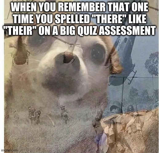 There, Their, They're | WHEN YOU REMEMBER THAT ONE TIME YOU SPELLED "THERE" LIKE "THEIR" ON A BIG QUIZ ASSESSMENT | image tagged in ptsd chihuahua | made w/ Imgflip meme maker