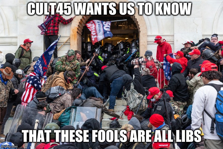 Capitol | CULT45 WANTS US TO KNOW THAT THESE FOOLS ARE ALL LIBS | image tagged in capitol | made w/ Imgflip meme maker