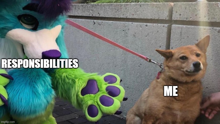 this is true real life situation |  RESPONSIBILITIES; ME | image tagged in furry scaring dog | made w/ Imgflip meme maker