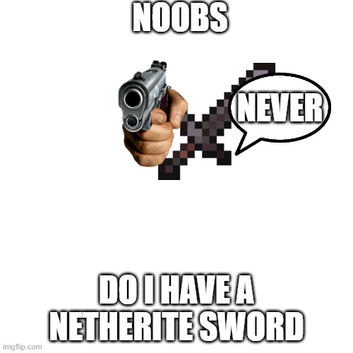 Blank Transparent Square Meme | NOOBS; NEVER; DO I HAVE A NETHERITE SWORD | image tagged in memes,blank transparent square | made w/ Imgflip meme maker