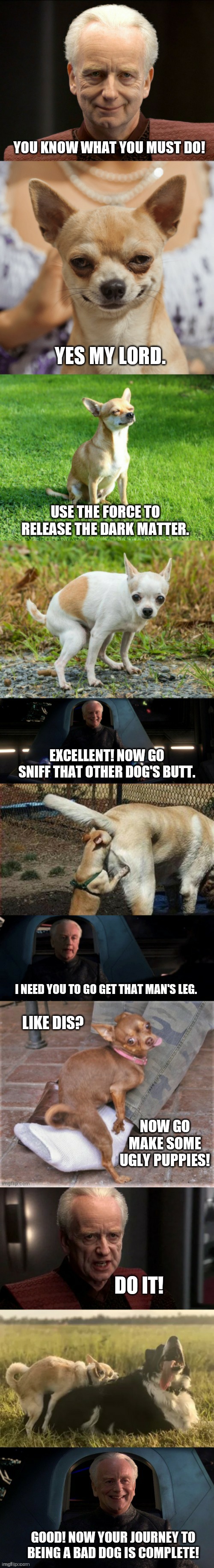 Palpatine and evil chihuahua 2 | YOU KNOW WHAT YOU MUST DO! YES MY LORD. USE THE FORCE TO RELEASE THE DARK MATTER. EXCELLENT! NOW GO SNIFF THAT OTHER DOG'S BUTT. I NEED YOU TO GO GET THAT MAN'S LEG. LIKE DIS? NOW GO MAKE SOME UGLY PUPPIES! DO IT! GOOD! NOW YOUR JOURNEY TO BEING A BAD DOG IS COMPLETE! | image tagged in palpatine and evil chihuahua 2 | made w/ Imgflip meme maker