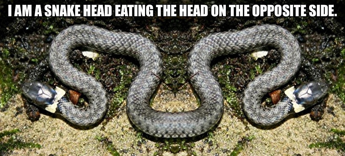 I Palindrome I | I AM A SNAKE HEAD EATING THE HEAD ON THE OPPOSITE SIDE. | made w/ Imgflip meme maker
