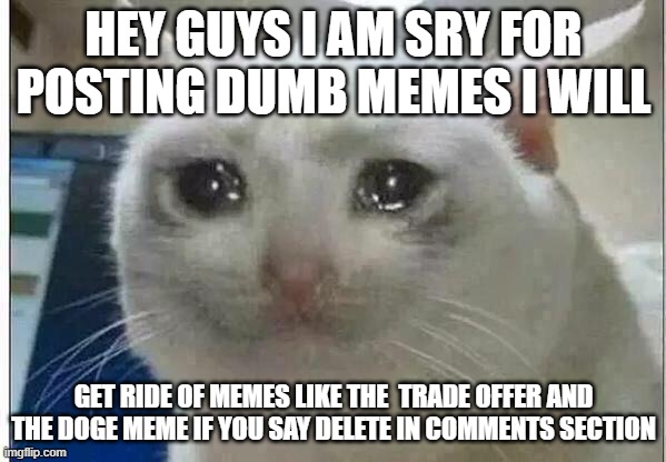 crying cat | HEY GUYS I AM SRY FOR POSTING DUMB MEMES I WILL; GET RIDE OF MEMES LIKE THE  TRADE OFFER AND THE DOGE MEME IF YOU SAY DELETE IN COMMENTS SECTION | image tagged in crying cat | made w/ Imgflip meme maker