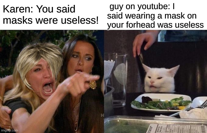 Karen yells at the guy on youtube | guy on youtube: I said wearing a mask on your forhead was useless; Karen: You said masks were useless! | image tagged in memes,woman yelling at cat,karen,masks,funny | made w/ Imgflip meme maker