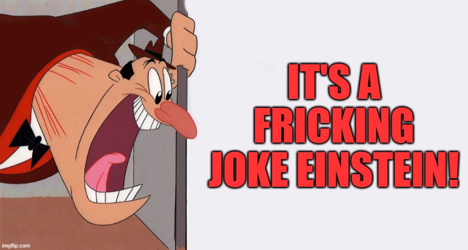 HEY! | IT'S A FRICKING JOKE EINSTEIN! | image tagged in hey | made w/ Imgflip meme maker