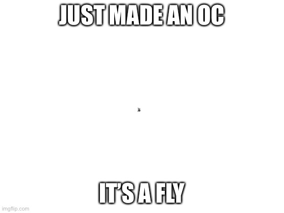 JUST MADE AN OC IT’S A FLY | made w/ Imgflip meme maker
