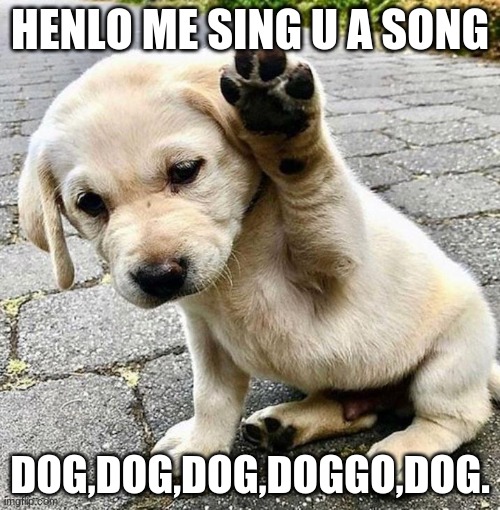 Henlo doggo | HENLO ME SING U A SONG; DOG,DOG,DOG,DOGGO,DOG. | image tagged in henlo doggo | made w/ Imgflip meme maker