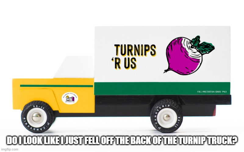 Turnip Truck. | DO I LOOK LIKE I JUST FELL OFF THE BACK OF THE TURNIP TRUCK? | image tagged in line from the golden girls | made w/ Imgflip meme maker