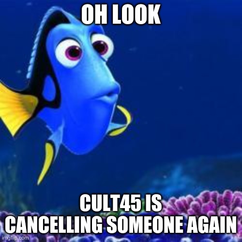 oh look | OH LOOK CULT45 IS CANCELLING SOMEONE AGAIN | image tagged in oh look | made w/ Imgflip meme maker