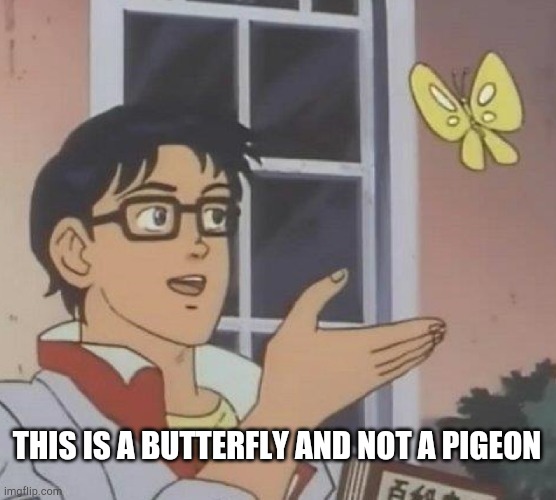 OMG HE FINALLY KNOWS :D | THIS IS A BUTTERFLY AND NOT A PIGEON | image tagged in memes,is this a pigeon | made w/ Imgflip meme maker