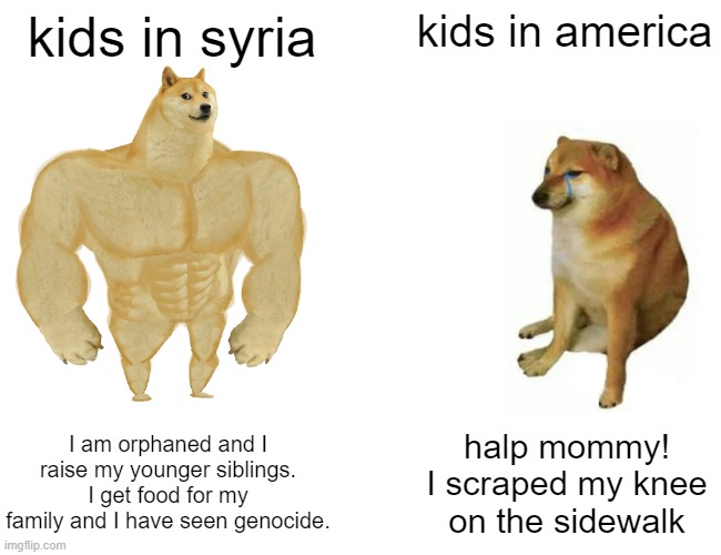 Buff Doge vs. Cheems | kids in syria; kids in america; I am orphaned and I raise my younger siblings. I get food for my family and I have seen genocide. halp mommy! I scraped my knee on the sidewalk | image tagged in memes,buff doge vs cheems | made w/ Imgflip meme maker