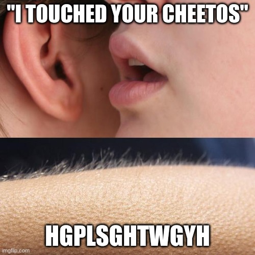 Whisper and Goosebumps | "I TOUCHED YOUR CHEETOS"; HGPLSGHTWGYH | image tagged in whisper and goosebumps | made w/ Imgflip meme maker