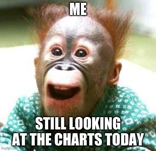 Happy Monkey Happy Birthday | ME; STILL LOOKING AT THE CHARTS TODAY | image tagged in happy monkey happy birthday | made w/ Imgflip meme maker