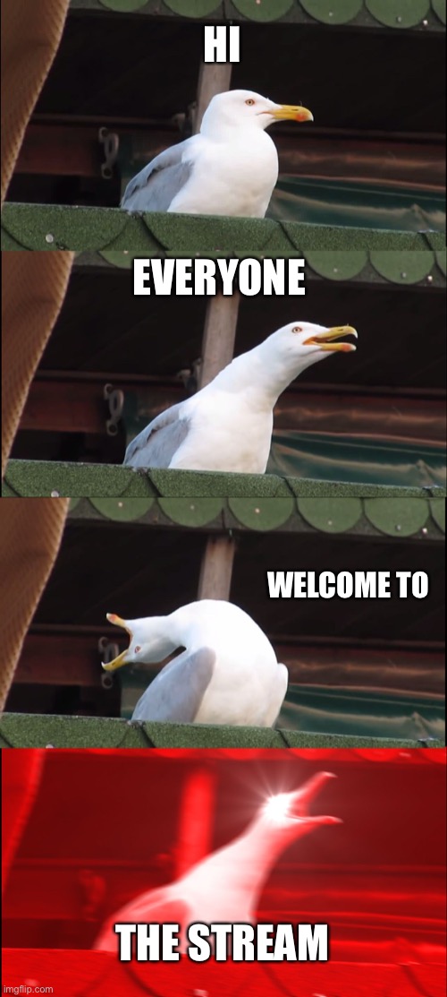 Hi guys hope y’all enjoy (i made the stream) |  HI; EVERYONE; WELCOME TO; THE STREAM | image tagged in memes,inhaling seagull | made w/ Imgflip meme maker
