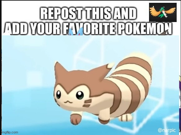 furret is best pokemon | image tagged in furret | made w/ Imgflip meme maker