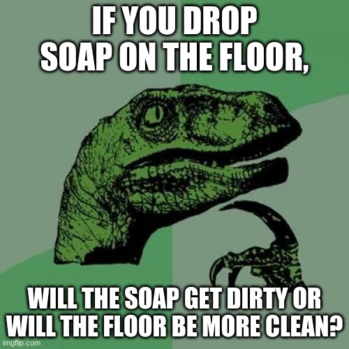 HMHMmhMMMHMmm | IF YOU DROP SOAP ON THE FLOOR, WILL THE SOAP GET DIRTY OR WILL THE FLOOR BE MORE CLEAN? | image tagged in memes,philosoraptor | made w/ Imgflip meme maker