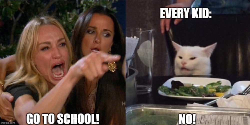 Woman yelling at cat | EVERY KID:; GO TO SCHOOL! NO! | image tagged in woman yelling at cat | made w/ Imgflip meme maker