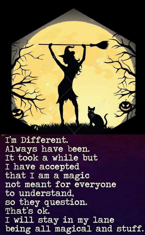 Magic | image tagged in witch | made w/ Imgflip meme maker