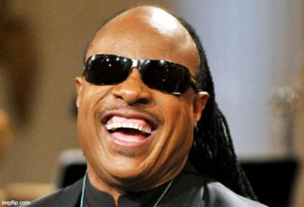 Stevie Wonder | image tagged in stevie wonder | made w/ Imgflip meme maker