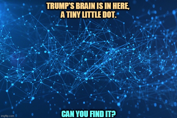 It may be just a rumor. | TRUMP'S BRAIN IS IN HERE, 
A TINY LITTLE DOT. CAN YOU FIND IT? | image tagged in trump,brain,tiny | made w/ Imgflip meme maker