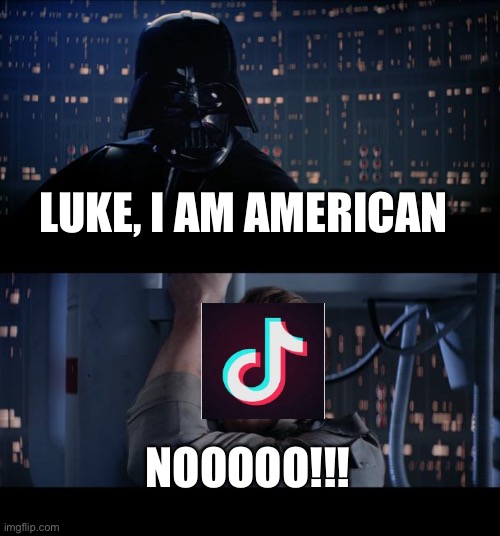 Star Wars No Meme | LUKE, I AM AMERICAN NOOOOO!!! | image tagged in memes,star wars no | made w/ Imgflip meme maker