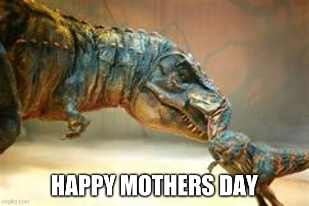 happy mother's day | HAPPY MOTHERS DAY | image tagged in happy mother's day | made w/ Imgflip meme maker