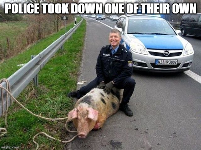 Self abuse? | POLICE TOOK DOWN ONE OF THEIR OWN | image tagged in pigs,politics | made w/ Imgflip meme maker