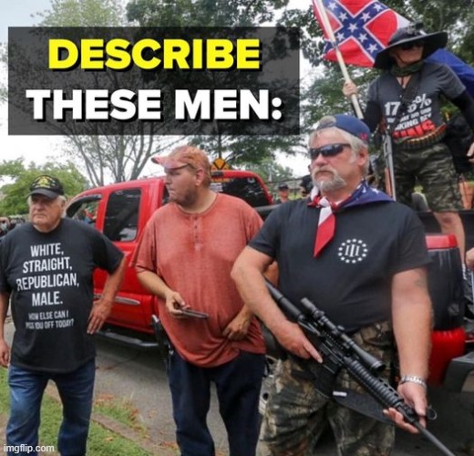 heroes, patriots, brave souls, unshakeable, unbreakable, maga | image tagged in maga describe these men,maga,confederate flag,confederacy,white people,repost | made w/ Imgflip meme maker
