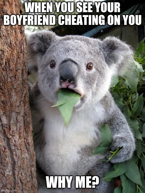whos that girl |  WHEN YOU SEE YOUR BOYFRIEND CHEATING ON YOU; WHY ME? | image tagged in memes,surprised koala | made w/ Imgflip meme maker