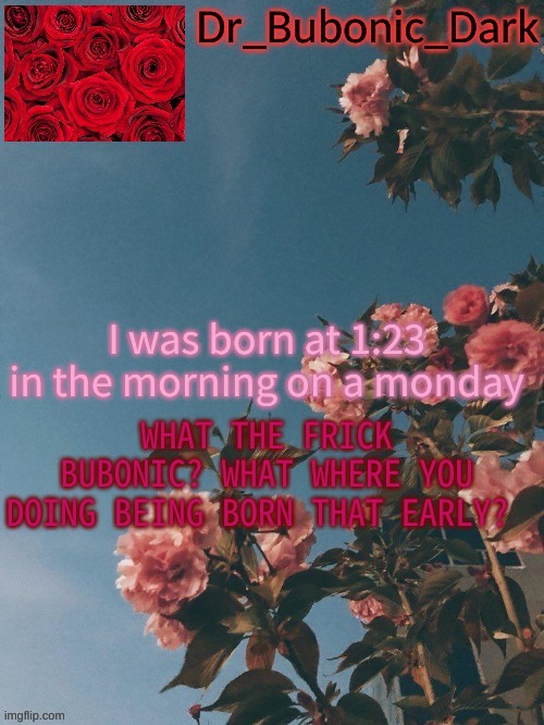 Bubonics Rose Temp (thanks Trash!) | I was born at 1:23 in the morning on a monday; WHAT THE FRICK BUBONIC? WHAT WHERE YOU DOING BEING BORN THAT EARLY? | image tagged in bubonics rose temp thanks trash | made w/ Imgflip meme maker